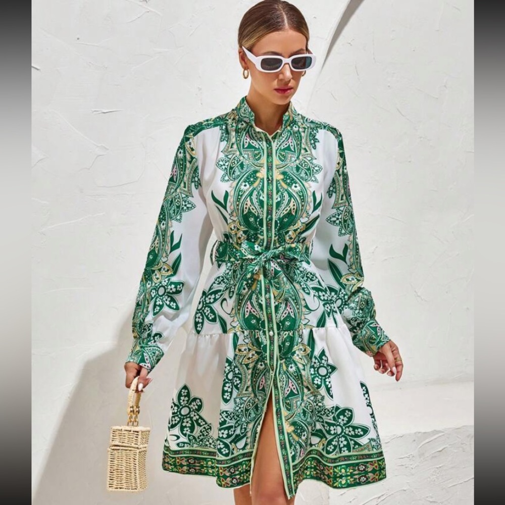 Graphic Long sleeve belted dress